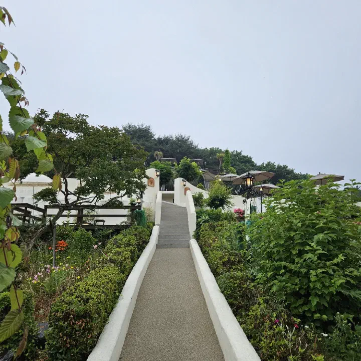트레블브레이크커피로 이어지는 흰 벽 돌계단 길과 양옆 꽃나무 정원, 그 위 파라솔이 보이는 풍경