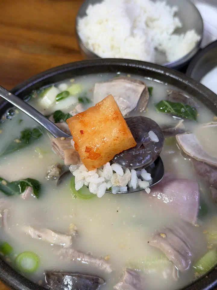 숟가락에 토렴한 밥과 순대, 깍두기를 함께 올린 충남식당 국밥 한 술